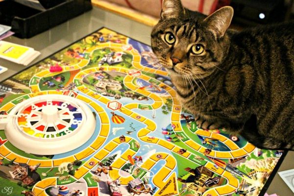 Turbo Keeping Score, The Game of Life Game