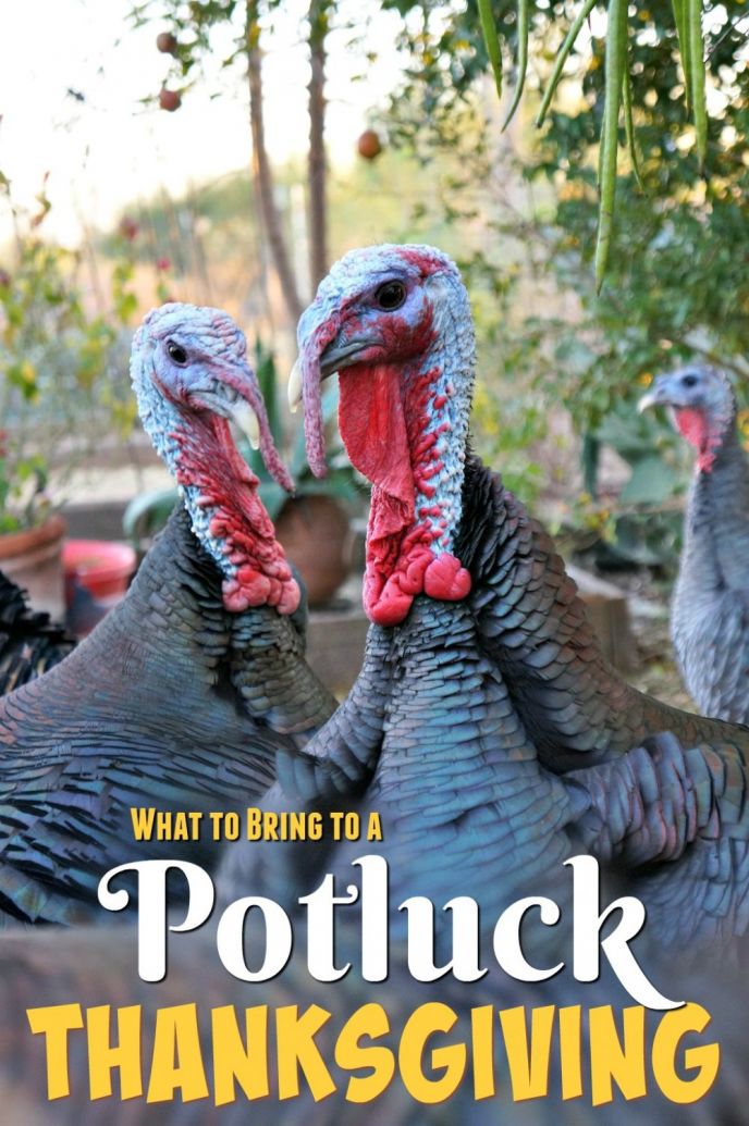 potluck gift ideas