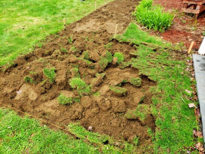 How To Install A DIY Paver Walkway, A quick method for removing old grass with a shovel.